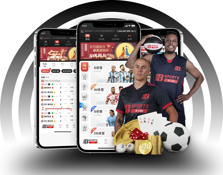 B体育 APP 服务